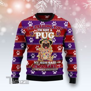 Pug Baby Christmas Ugly Christmas Sweater, Jumper- Fanshubus