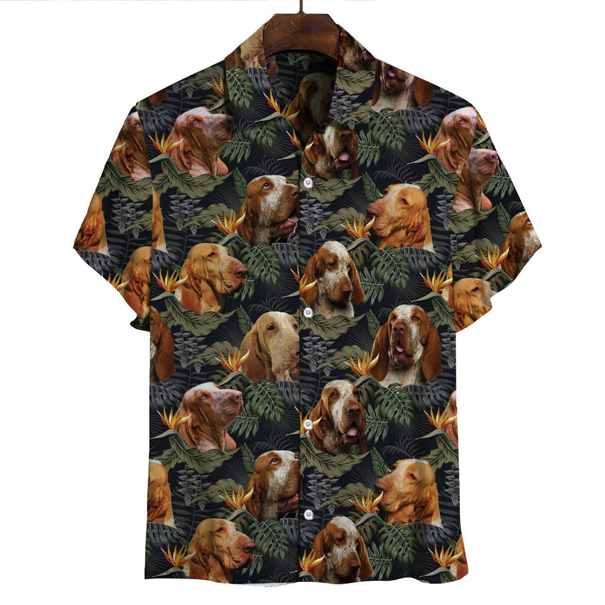 bracco_italiano_-_hawaiian_shirt_5181.jpg