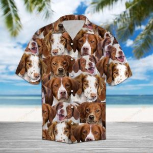 Brittany Brown Best Design Hawaiian Shirt- For men and women - Fanshubus