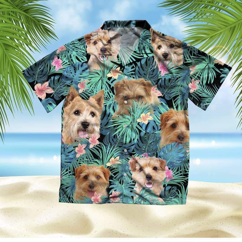 norfolk_terrier_-_summer_leaves_-_hawaiian_shirt_4238.jpg