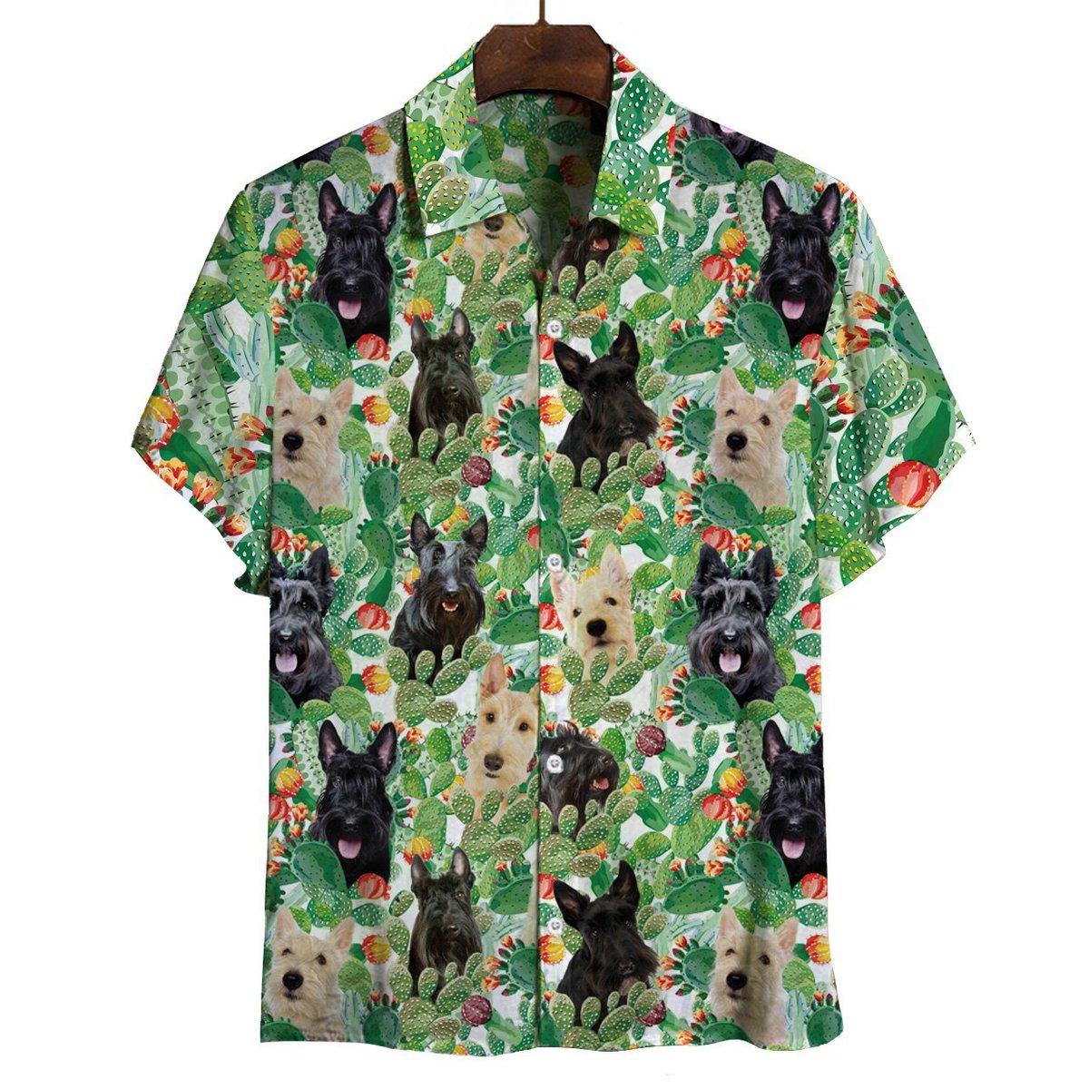 scottish_terrier_-_hawaiian_shirt_4657.jpg