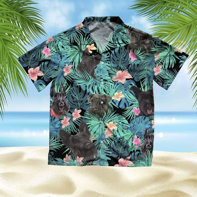 scottish_terrier_-_summer_leaves_-_hawaiian_shirt_6923.jpg