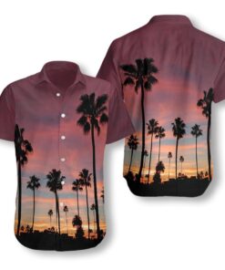 Sunset Venice Beach 2607 Hawaiian Shirt- For men and women - Fanshubus