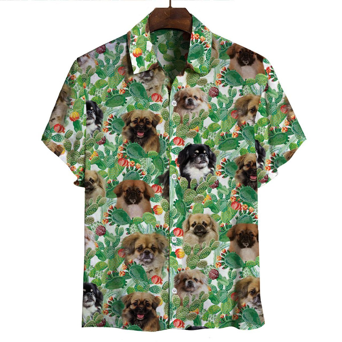 tibetan_spaniel_-_hawaiian_shirt_5329.jpg