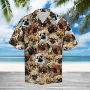 Tibetan Spaniel Tan Best Hawaiian Shirt | For Men &amp; Women | Adult |- For men and women - Fanshubus