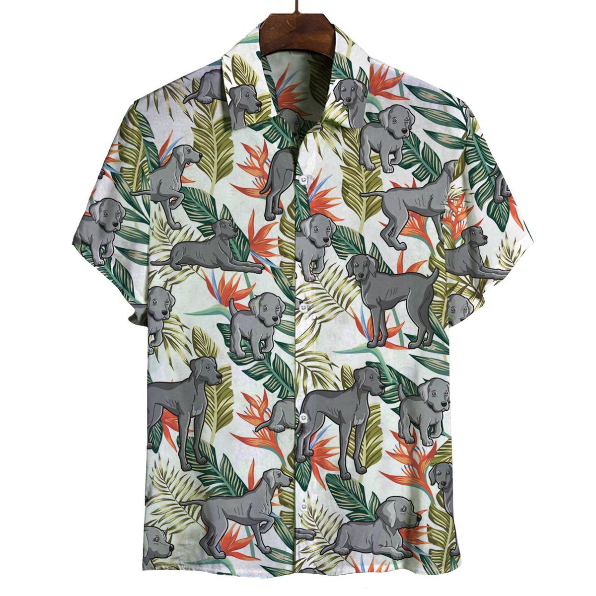 weimaraner_-_hawaiian_shirt_8960.jpg