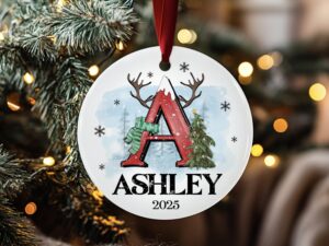 Personalized Christmas Tree Ornaments  Family Name Ornament  Custom Ornament  Winter Initial Ornament  Christmas Tree Decor  Christmas Gifts