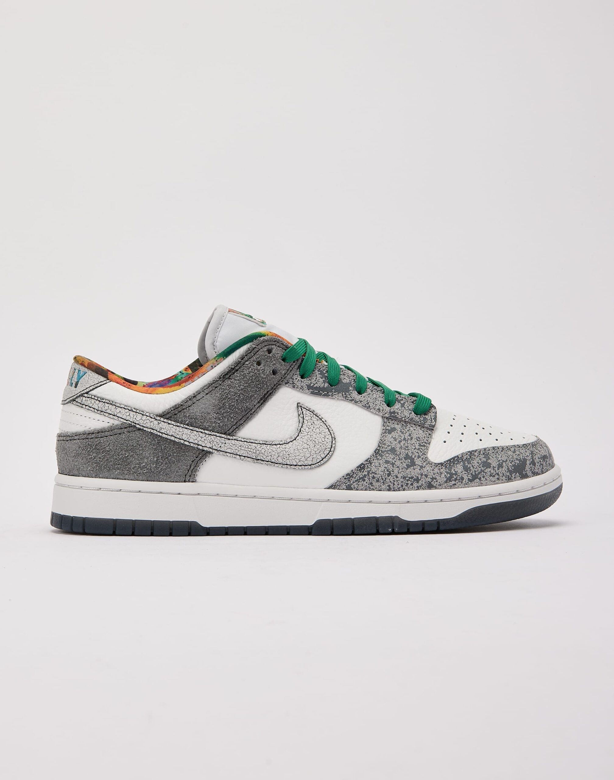 Nike_Dunk_Low_Retro_Premium (1)